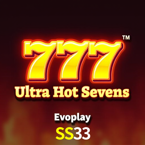 SS33