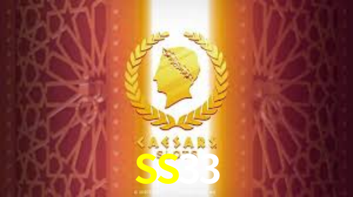 SS33