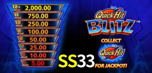 SS33