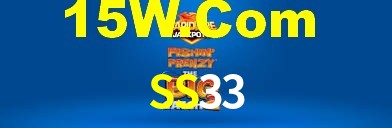 Premium Interface SS33